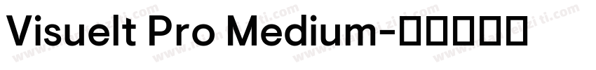 Visuelt Pro Medium字体转换